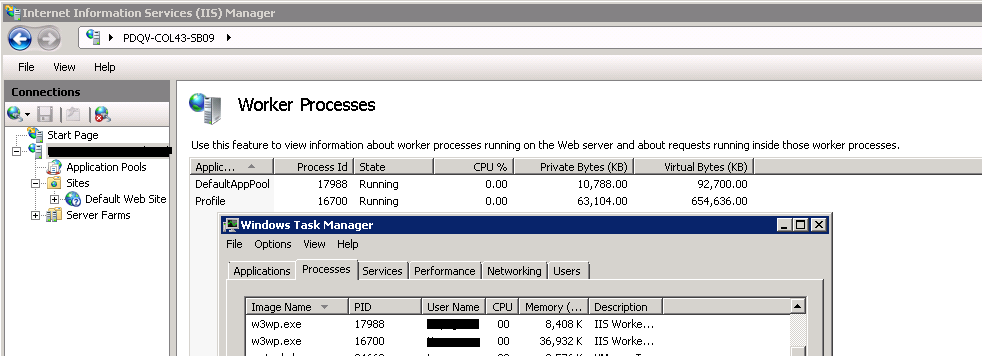 IIS_Worker_Process_TaskManager