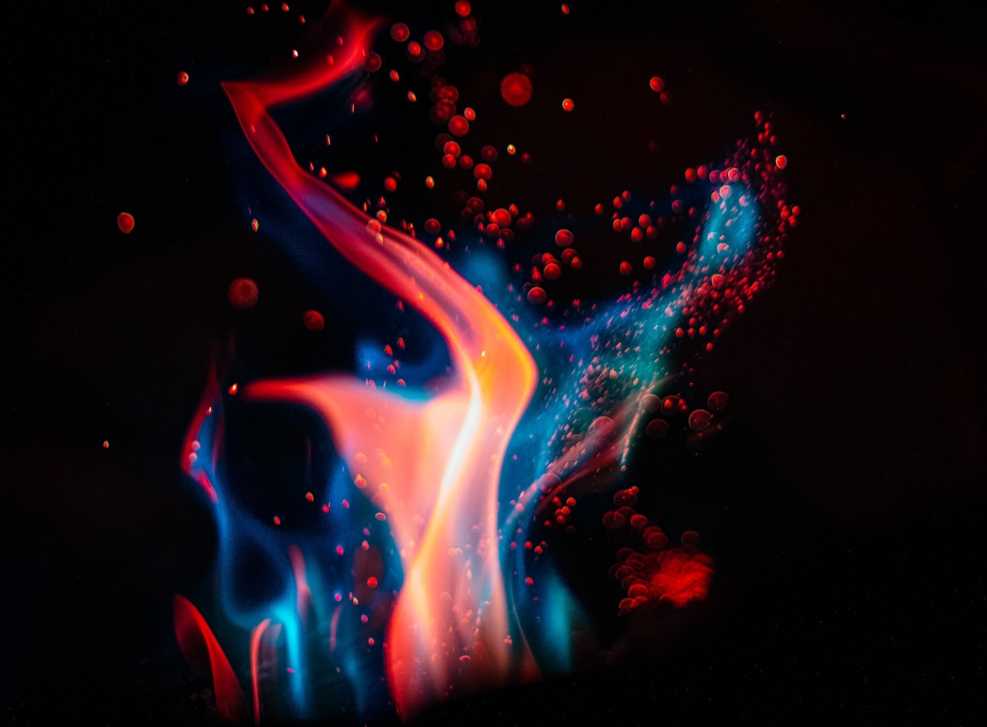 patrick-hendry-rAx4MemwFAo-unsplash patrick-hendry-rAx4MemwFAo-unsplash