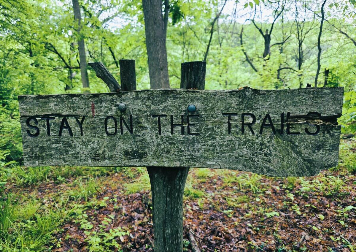 Weathered wooden sign reading 'Stay on the trails' in a green forest.